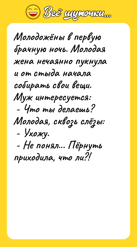 Молодожёны в первую брачную ночь. Молодая жена нечаянно пукнула и