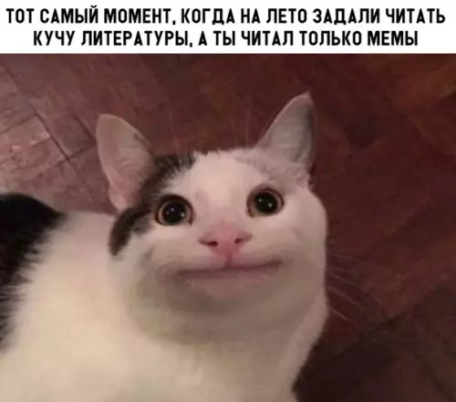 Смешная картинка №299397