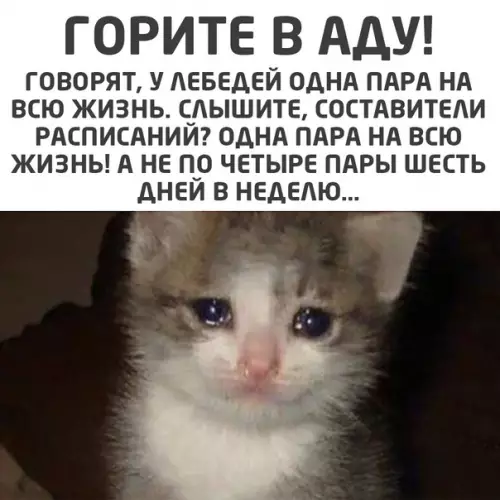 Смешная картинка №547015