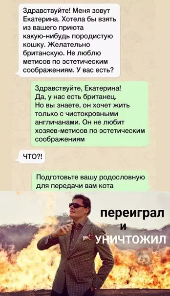Смешная картинка №543806 Уделали красиво!