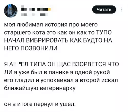 Смешная картинка №791285