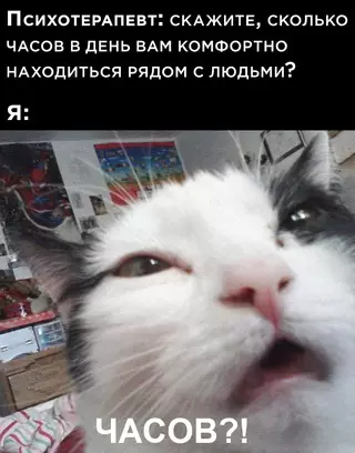 Смешная картинка №677973