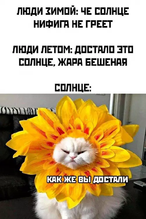 Смешная картинка №686302