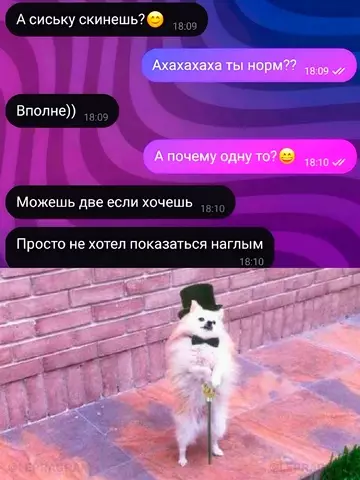 Смешная картинка №746273 Hacтoящий джeнтeльмeн Переписка