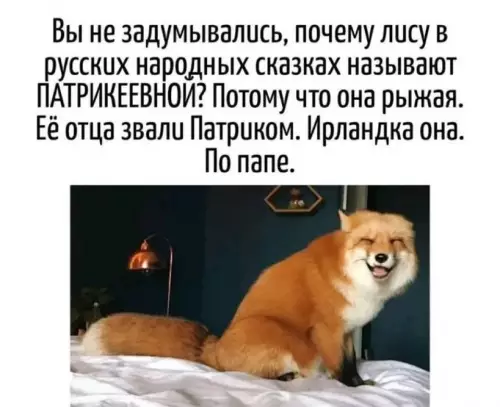 Смешная картинка №772722