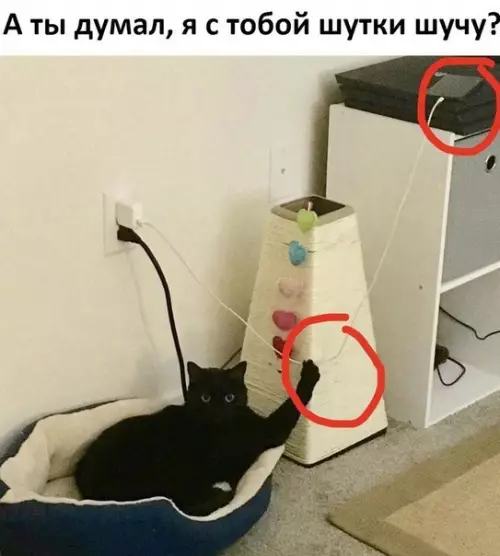 Смешная картинка №221820