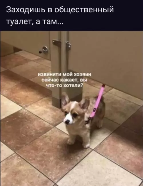 Смешная картинка №685634
