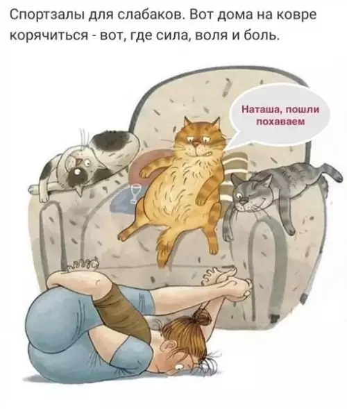 Смешная картинка №719748