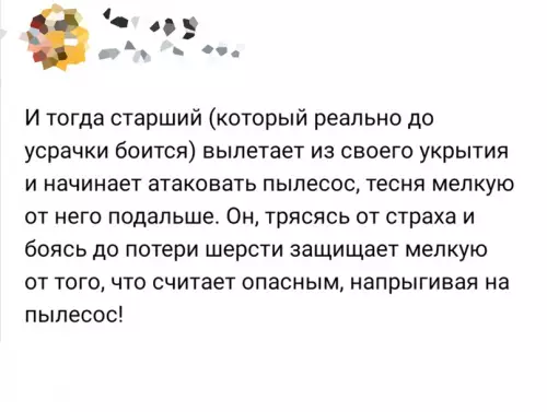 продолжение Смешная картинка №642416
