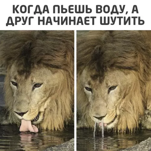 Смешная картинка №545908