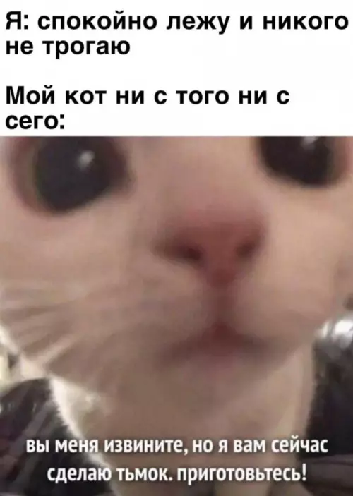 Смешная картинка №659425