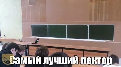 Смешная картинка №365043 #приколы #картинки #мемы ?