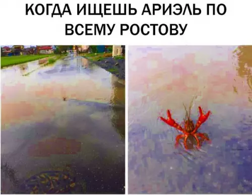 Смешная картинка №294593