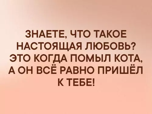 Смешная картинка №329903