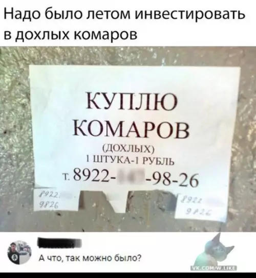 Смешная картинка №316481