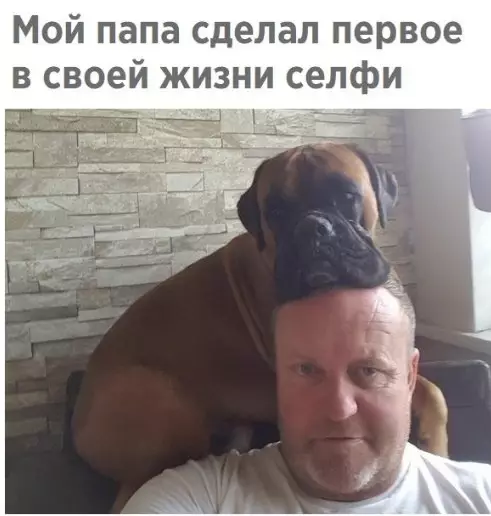 Смешная картинка №276517