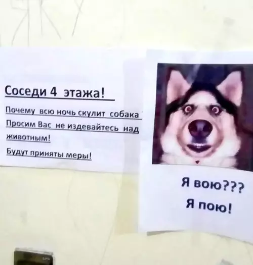 Смешная картинка №249745