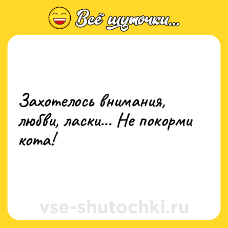 Шутка: Захотелось внимания, любви, ласки... Не покорми кота!