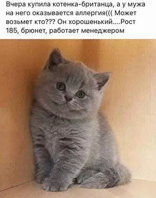 Смешная картинка №194491