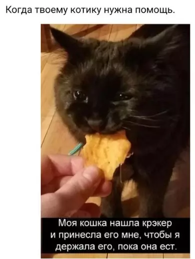 Смешная картинка №232864