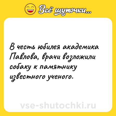Шутка: В честь юбилея академика Павлова, врачи возложили собаку к памятнику известного ученого.