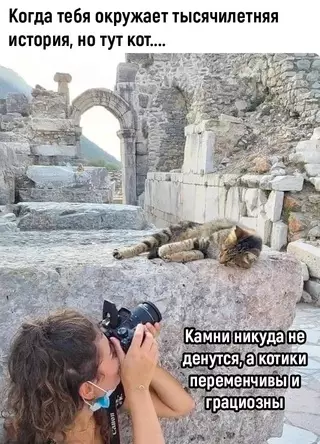 Смешная картинка №659109