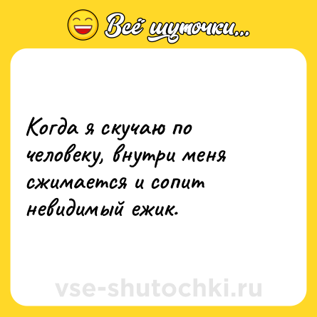 Шутка: Когда я скучаю по человеку, внутри меня сжимается и сопит невидимый ежик.