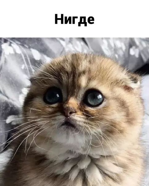продолжение Смешная картинка №580761 Работа