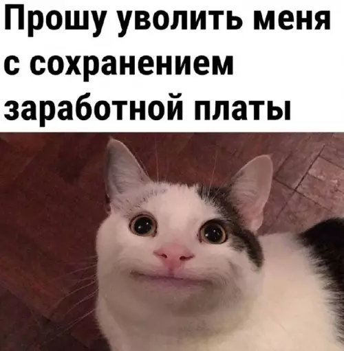 Смешная картинка №754174 Можно?