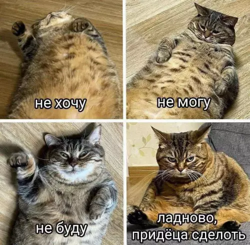 Смешная картинка №725436 работа