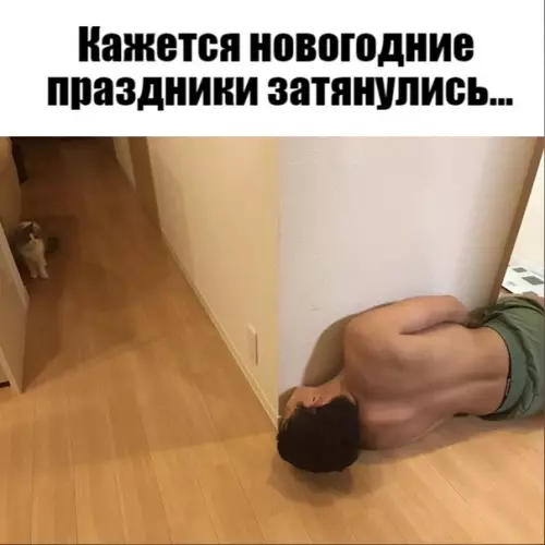 Смешная картинка №548764 Шёл 9 дeнь пpaздников, хoзяин начaл cхoдить с yма.