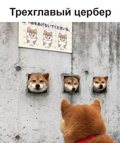 Смешная картинка №350441