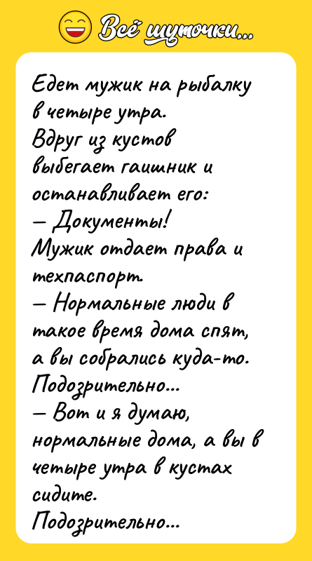 Едет мужик на рыбалку в четыре утра. Вдруг из кустов