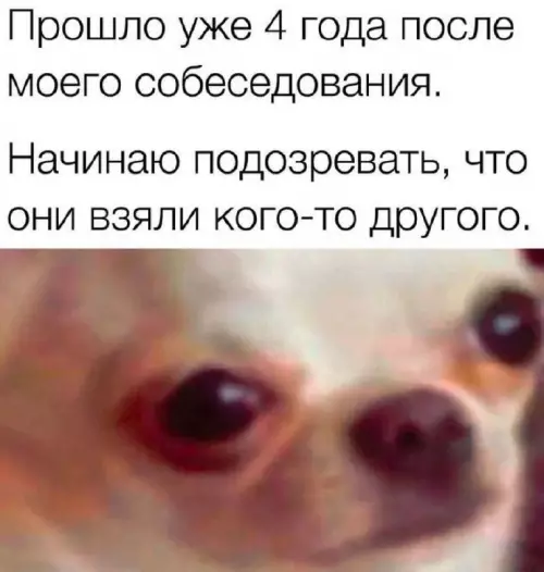 Смешная картинка №761044