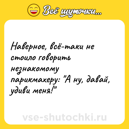 Шутка: Наверное, всё-таки не стоило говорить незнакомому парикмахеру: 