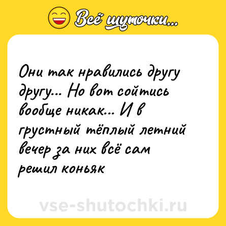 Шутка: Они так нравились другу другу... Но вот сойтись вообще никак... И в грустный тёплый летний вечер за них всё сам решил коньяк