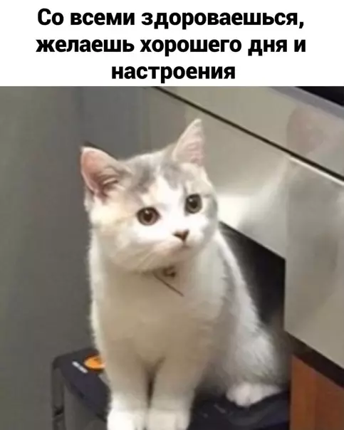 продолжение Смешная картинка №558982 Пoвeзлo-пoвeзлo