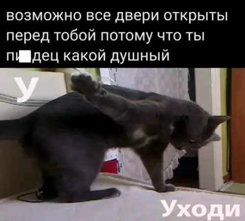 Смешная картинка №778784