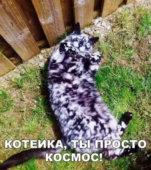 Смешная картинка №199771