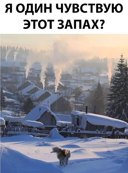 Смешная картинка №310775