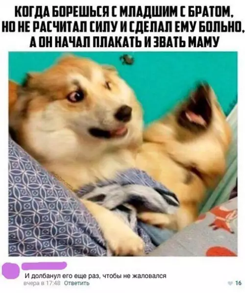 Смешная картинка №237741