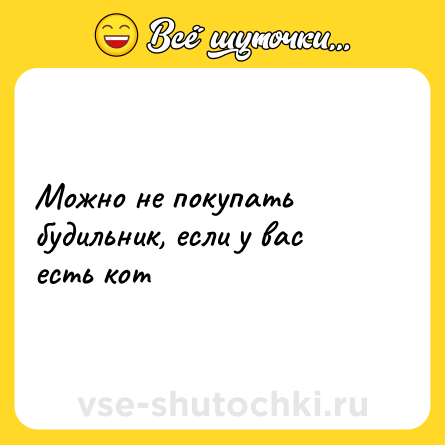 Шутка: Можно не покупать будильник, если у вас есть кот