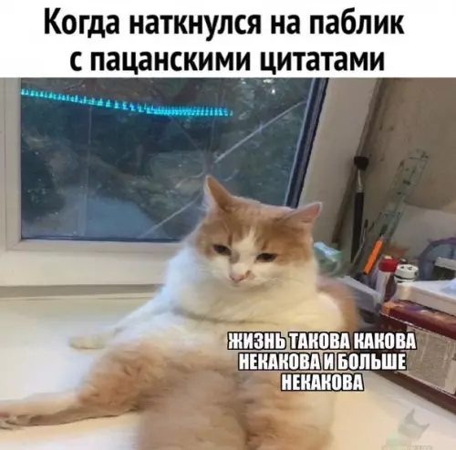 Смешная картинка №463672