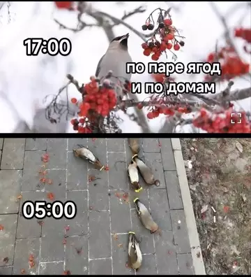 Смешная картинка №760747