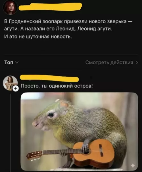 Леонид Агути: когда имя — это судьба 🎸 - В Гродненский зоопарк привезли нового зверька агути. А назвали его