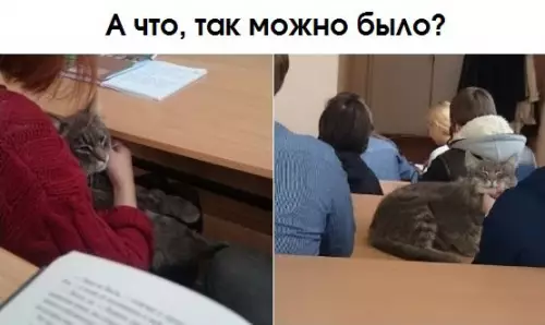 Смешная картинка №229428