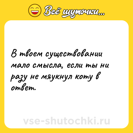 Шутка: В твоем существовании мало смысла, если ты ни разу не мяукнул коту в ответ.
