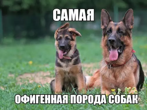 Смешная картинка №207915