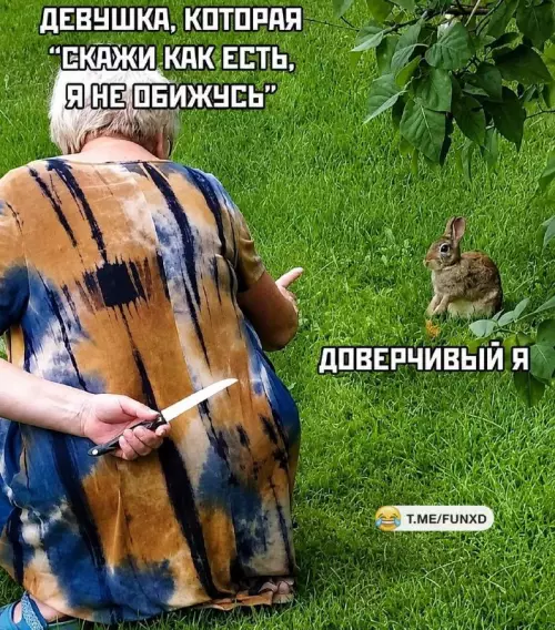 Осторожно, ловушка! 🐰🔪 - ДЕВУШКА, КОТОРАЯ СКАЖИ КАК ЕСТЬ, Я НЕ ОБИЖУСЬ ДОВЕРЧИВЫЙ Я