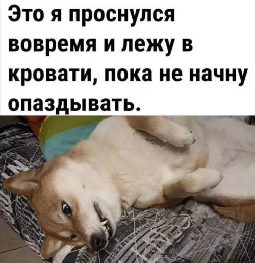 Смешная картинка №712951